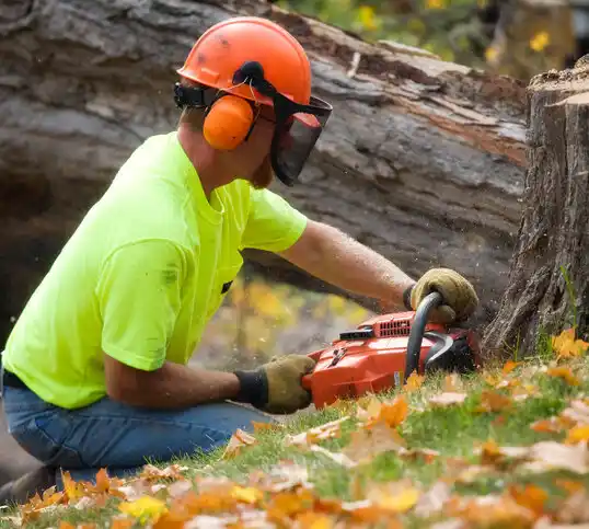 tree services Malcolm